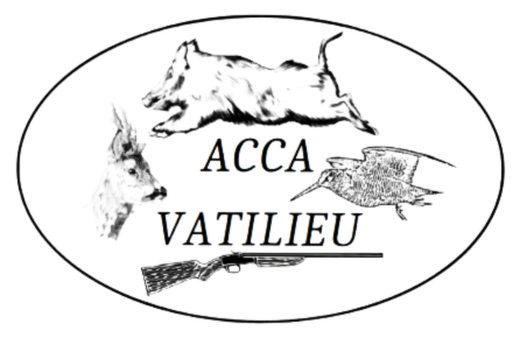 ACCA ACCA